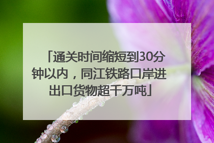 通关时间缩短到30分钟以内，同江铁路口岸进出口货物超千万吨