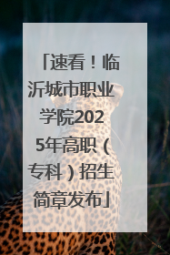 速看！临沂城市职业学院2025年高职（专科）招生简章发布