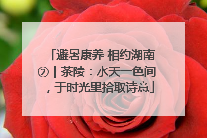 避暑康养 相约湖南②｜茶陵：水天一色间，于时光里拾取诗意