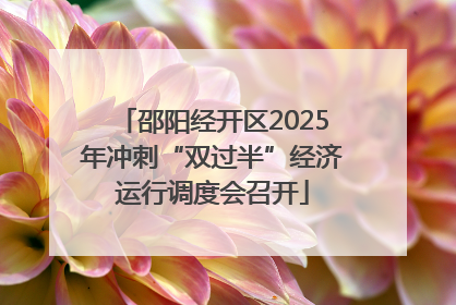 邵阳经开区2025年冲刺“双过半”经济运行调度会召开