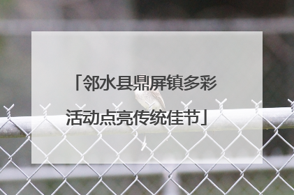 邻水县鼎屏镇多彩活动点亮传统佳节