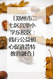 郑州市二七区兴华小学东校区：践行公益初心促进普特教育融合