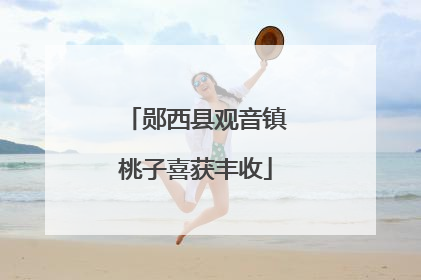 郧西县观音镇桃子喜获丰收