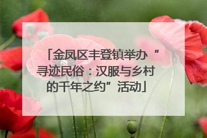 金凤区丰登镇举办“寻迹民俗：汉服与乡村的千年之约”活动