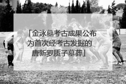 金泳墓考古成果公布 为首次经考古发掘的唐新罗质子墓葬