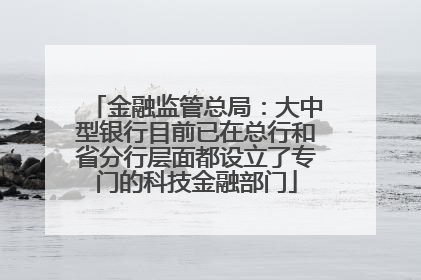 金融监管总局：大中型银行目前已在总行和省分行层面都设立了专门的科技金融部门
