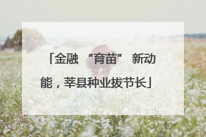 金融 “育苗” 新动能，莘县种业拔节长