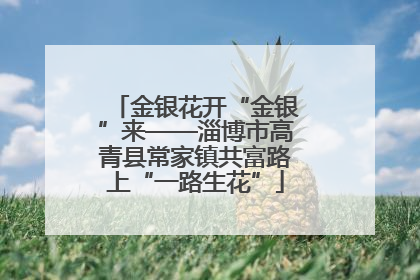 金银花开“金银”来——淄博市高青县常家镇共富路上“一路生花”