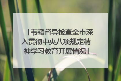 韦韬督导检查全市深入贯彻中央八项规定精神学习教育开展情况