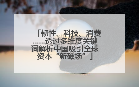 韧性、科技、消费……透过多维度关键词解析中国吸引全球资本“新磁场”