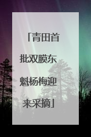 青田首批双膜东魁杨梅迎来采摘