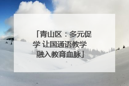 青山区：多元促学 让国通语教学融入教育血脉