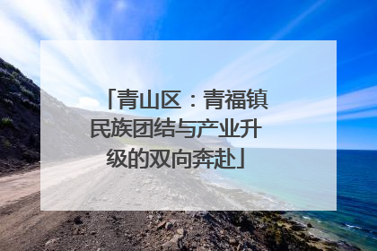 青山区：青福镇民族团结与产业升级的双向奔赴