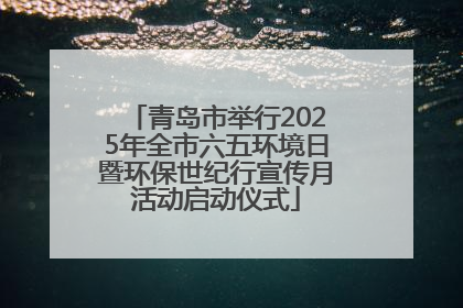 青岛市举行2025年全市六五环境日暨环保世纪行宣传月活动启动仪式