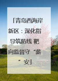 青岛西海岸新区：深化指导筑防线 靶向监督守“薪”安