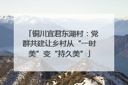 铜川宜君东湖村：党群共建让乡村从“一时美”变“持久美”