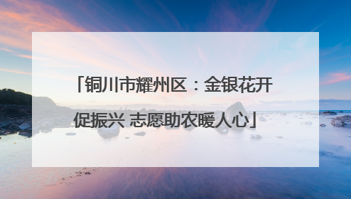 铜川市耀州区：金银花开促振兴 志愿助农暖人心