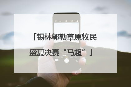锡林郭勒草原牧民盛夏决赛“马超”