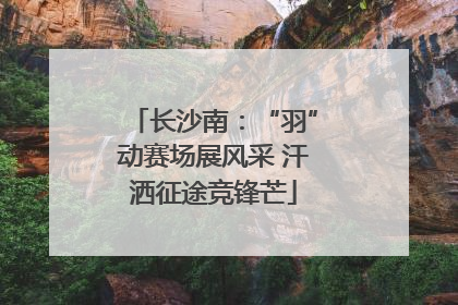 长沙南：“羽”动赛场展风采 汗洒征途竞锋芒