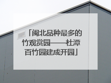 闽北品种最多的竹观赏园——杜潭百竹园建成开园