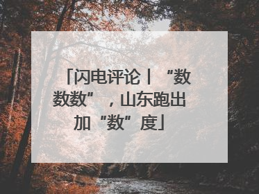 闪电评论丨“数数数”，山东跑出加“数”度