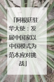阿根廷驻华大使：发展中国家以中国模式为范本应对挑战