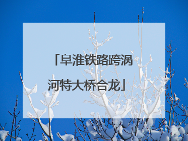 阜淮铁路跨涡河特大桥合龙
