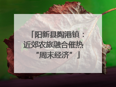 阳新县陶港镇：近郊农旅融合催热“周末经济”