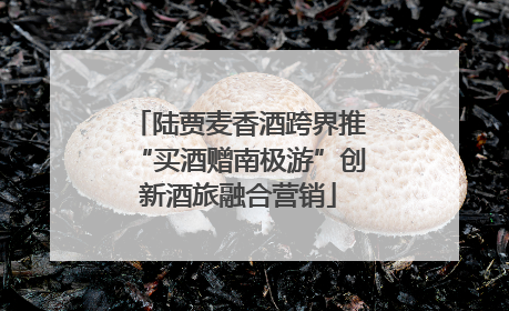 陆贾麦香酒跨界推“买酒赠南极游”创新酒旅融合营销