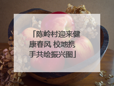 陈岭村迎来健康春风 校地携手共绘振兴图