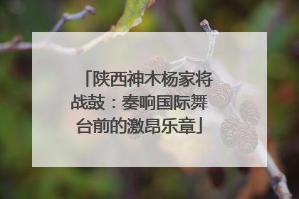 陕西神木杨家将战鼓：奏响国际舞台前的激昂乐章