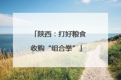 陕西：打好粮食收购“组合拳”