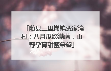 随县三里岗镇贾家湾村：八月瓜缀满藤，山野孕育甜蜜希望