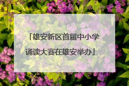 雄安新区首届中小学诵读大赛在雄安举办