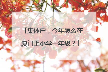 集体户，今年怎么在厦门上小学一年级？