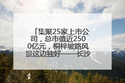集聚25家上市公司，总市值近2500亿元，桐梓坡路风景这边独好——长沙有条“上市路”