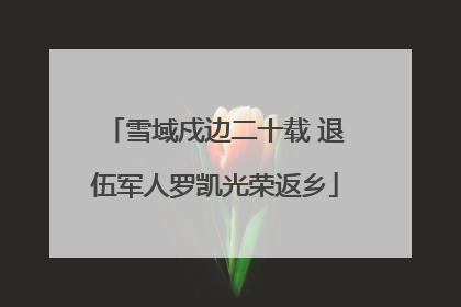雪域戍边二十载 退伍军人罗凯光荣返乡