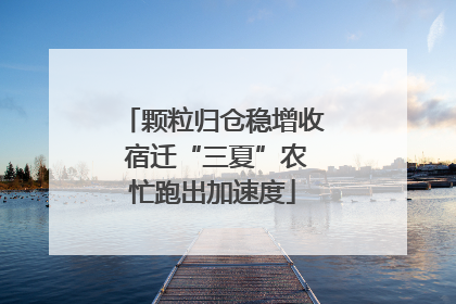 颗粒归仓稳增收 宿迁“三夏”农忙跑出加速度