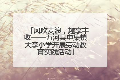 风吹麦浪，趣享丰收——五河县申集镇大李小学开展劳动教育实践活动