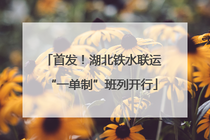 首发！湖北铁水联运“一单制”班列开行