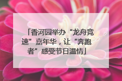 香河园举办“龙舟竞速”嘉年华，让“奔跑者”感受节日温情