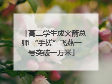 高二学生成火箭总师 “手搓”飞燕一号突破一万米