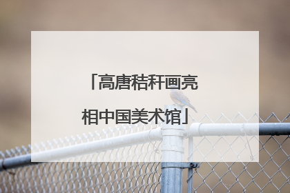 高唐秸秆画亮相中国美术馆