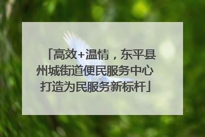 高效+温情，东平县州城街道便民服务中心打造为民服务新标杆