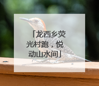 龙西乡荧光村跑，悦动山水间