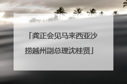 龚正会见马来西亚沙捞越州副总理沈桂贤