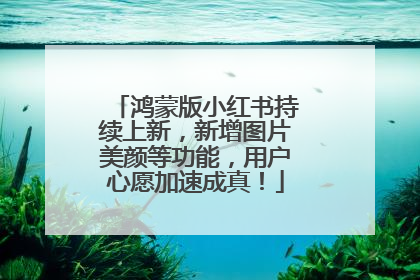 鸿蒙版小红书持续上新，新增图片美颜等功能，用户心愿加速成真！