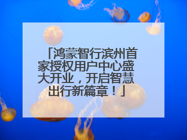 鸿蒙智行滨州首家授权用户中心盛大开业，开启智慧出行新篇章！