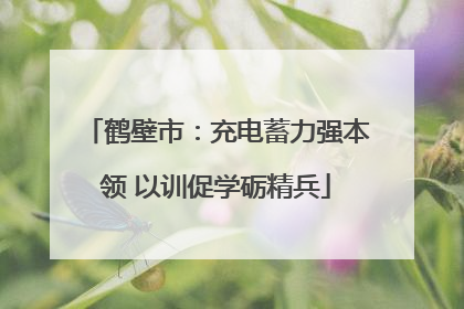 鹤壁市：充电蓄力强本领 以训促学砺精兵