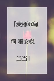 麦穗沉甸甸 粮安稳当当